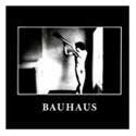 The Bauhaus - In The Flat Field